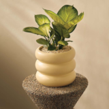 Cachepot em Ceramica - Mart - miniatura 2