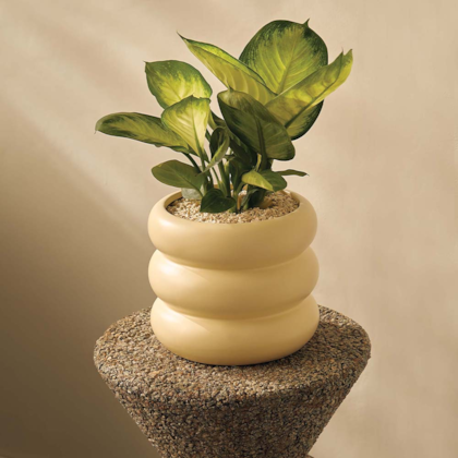 Cachepot em Ceramica - Mart