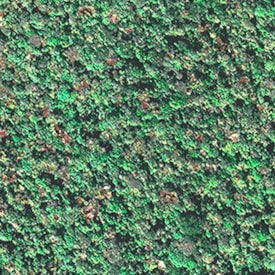 MDF Floresta Perspectivas 2 Faces 2,75X1,85m - Guararapes