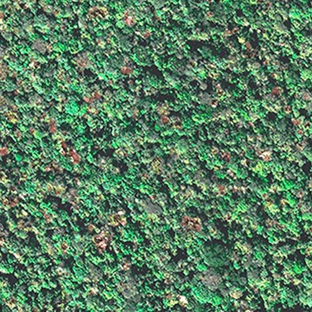 MDF Floresta Perspectivas 2 Faces 2,75X1,85m - Guararapes - foto 1